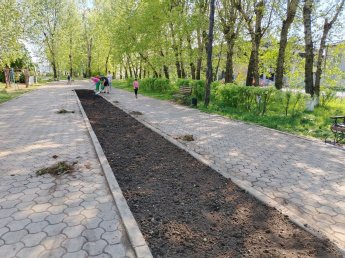 Акция по облагораживанию прилегающей территории Дома культуры «Современник» и парка микрорайона ЗМЗ
